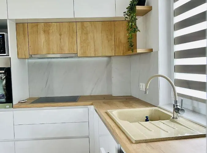 Dendro Apartment-free Parking * Cluj-Napoca