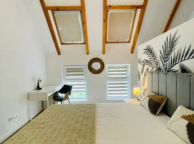 Dendro Apartment-free Parking Apartamento Cluj-Napoca