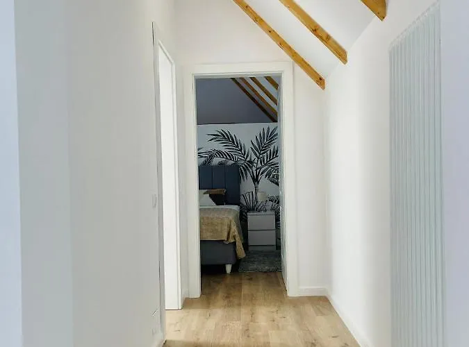 Dendro Apartment-free Parking